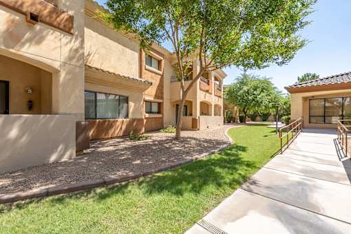 A sunny day at a residential complex with apartment buildings and a tree.