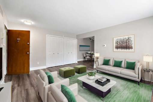A living room with a white couch and a green rug.