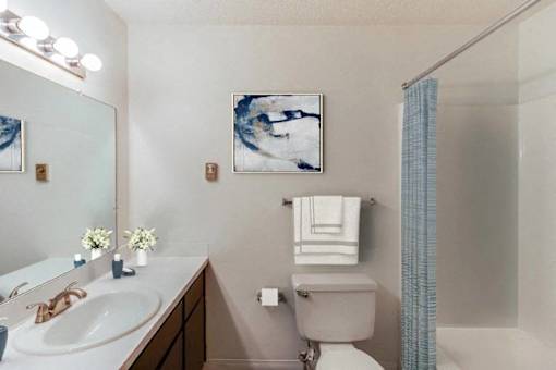 A bathroom with a toilet, sink, and mirror.