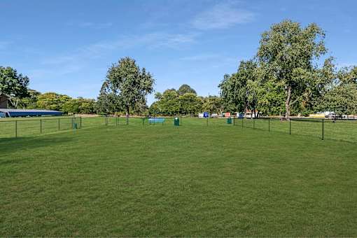 A grassy field with trees and a fence in the distance.