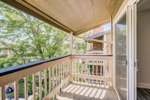 Spacious Patio