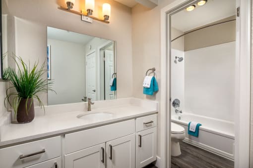 Stone Arbor Bathroom