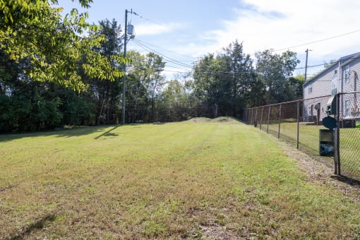 the yard is fenced in with a chain link fence