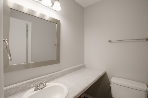 a bathroom with a sink and a mirror and a toilet