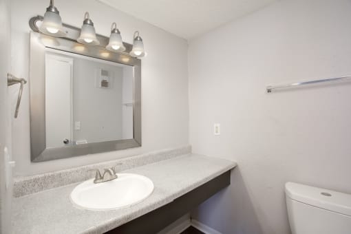 a bathroom with a sink and a mirror and a toilet