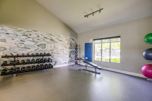 Temecula, CA Apartments - Vista Promenade Fitness Center with Ellipticals, Treadmills, Exercise Balls, TVs, and More
