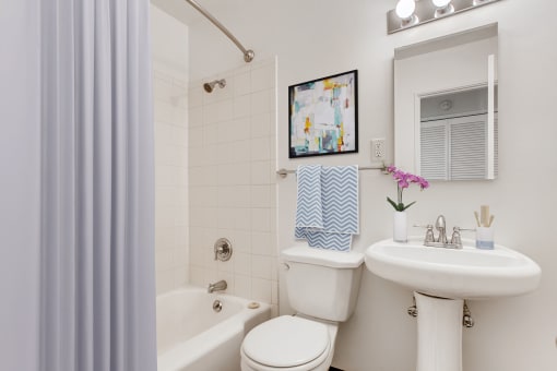 Palmer Park | Colorado Springs, CO Apartments | Virtual Bathroom