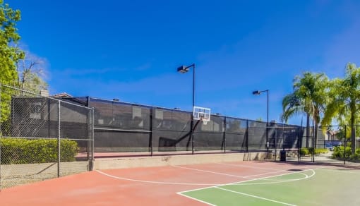 Temecula Apartments for Rent - Basketball Court