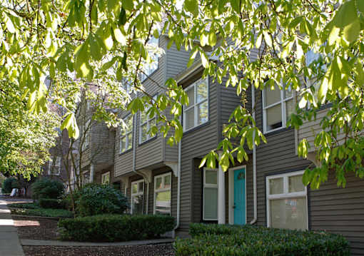 A tree branch with green leaves is in the foreground of a residential building.