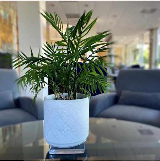 a potted plant on a table in a lobby