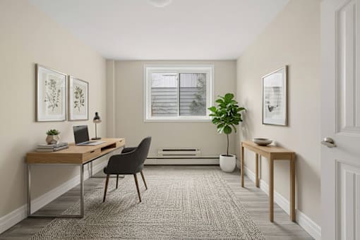 A room with a desk, chair, and potted plant.