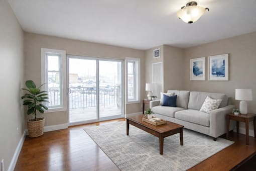 A living room with a grey couch, a wooden coffee table, and a potted plant.