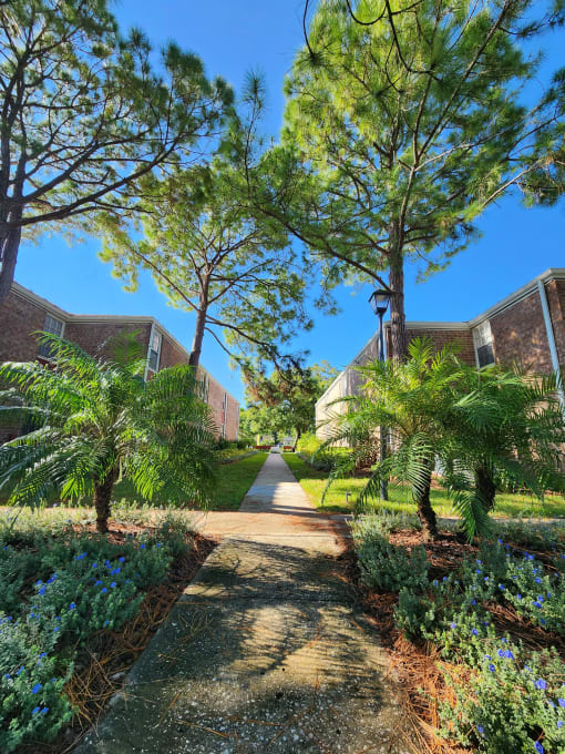 Walkway area next to apartment buildings, Timberfalls Apartments