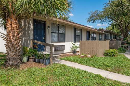 A house with a fence and a palm tree in front.