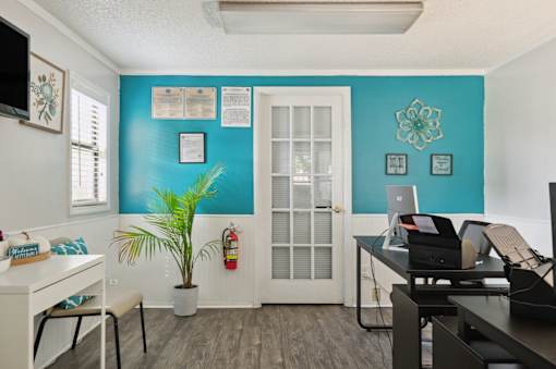 A room with a desk, chair, and a plant.
