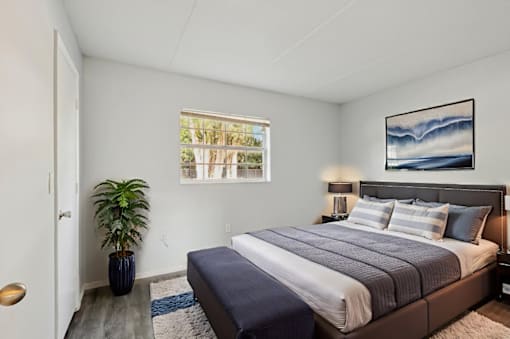 A bedroom with a large bed and a potted plant.