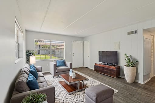 A living room with a grey couch, a coffee table, and a television.