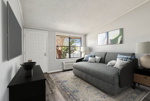 A living room with a grey couch, a black cabinet, and a rug.