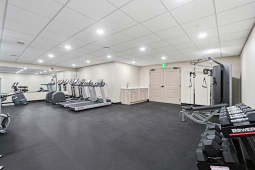 A gym with treadmills, weights, and exercise equipment.