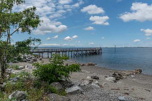 a view of the pier from the beach