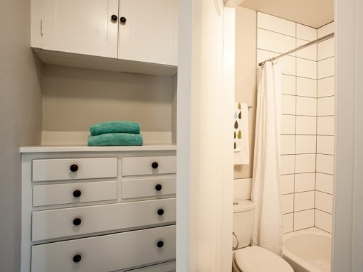 a bathroom with a white cabinet and a toilet