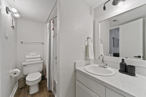 a bathroom with a toilet sink and a mirror at Lakeside Apartments, Dallas, TX, 75231
