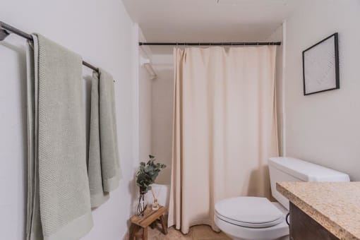 a bathroom with a toilet and a shower curtain at Cityscape, Dallas, TX