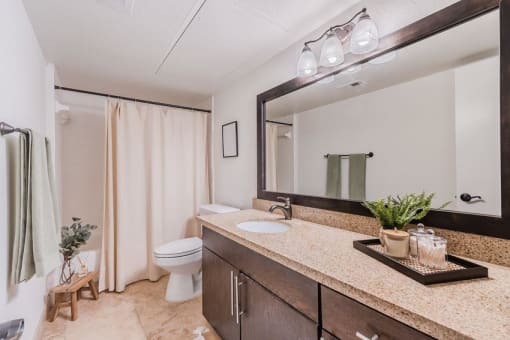 a bathroom with a sink and a toilet and a mirror at Cityscape, Dallas, TX