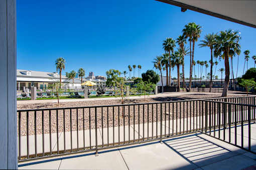 A view from a balcony looking out at palm treesat Presidio Palms Apartments, Tucson, AZ
