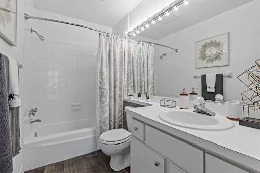 bathroom with a tub and toilet and sink