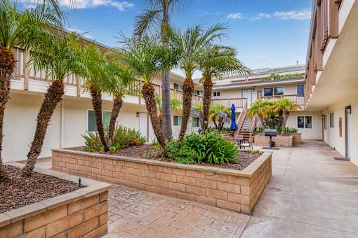 A courtyard with a brick wall and palm trees.