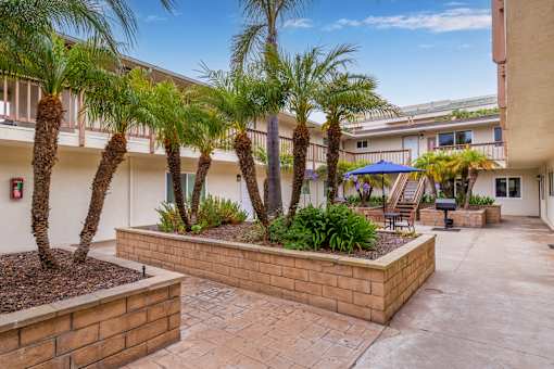 A courtyard with a brick wall and palm trees.