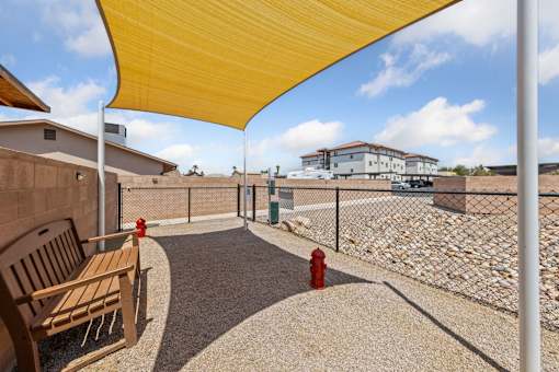 Bark park- Dog Area