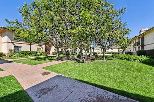 A sunny day at a residential area with apartment buildings and a well-maintained lawn.