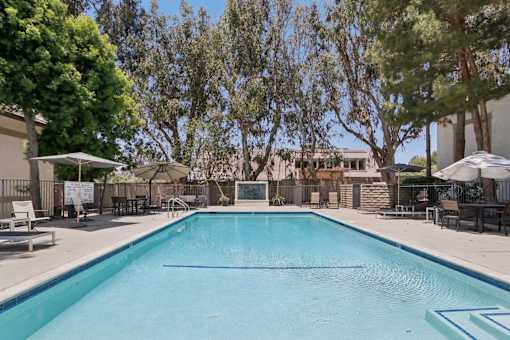 Pool at The Linden