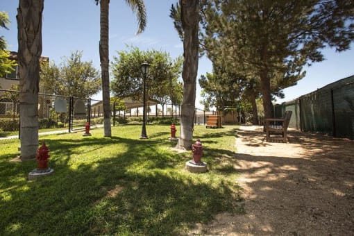 dog park at Villas at the park apartments