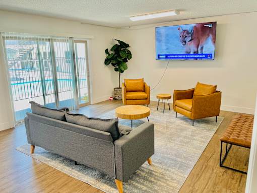 A living room with a grey couch, a television, and a plant.