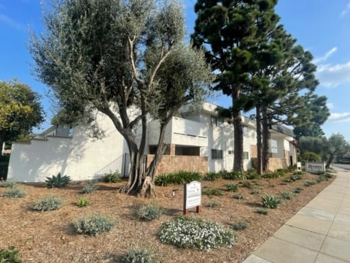 front of Riviera