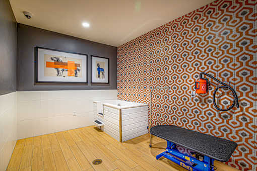 Fitness studio with equipment and retro wallpaper at Inwood at Renaissance Square Apartments, Marlton, NJ 08053