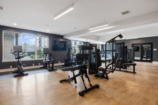 a gym with weights and exercise equipment in a room with windows