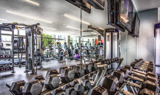 Fitness center with free weights and equipment at RiverParc Apartments, Weehawken, NJ