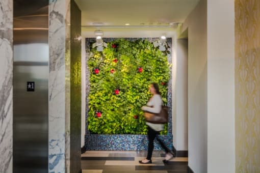 Living wall with vertical garden display at RiverParc Apartments, Weehawken