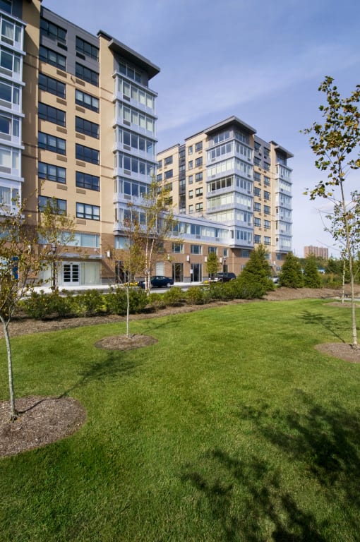 Grassy area at RiversEdge, Weehawken, NJ