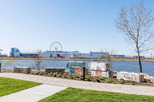A park with a walkway, a tree, and a body of water with a building in the background.