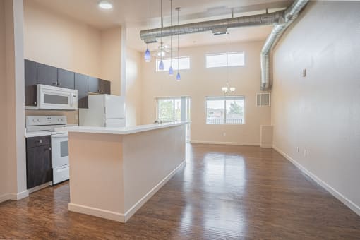 Modern Kitchen