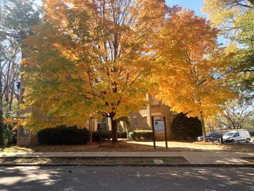 Sycamore Manor Exterior