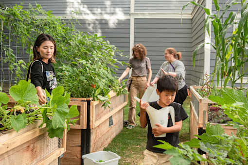 A group of people are tending to a garden.