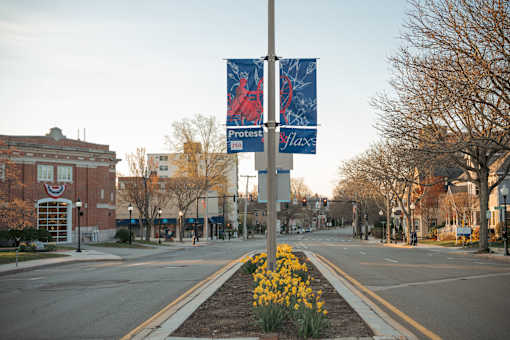 A city street with a sign that says protest and a sign that says flash.