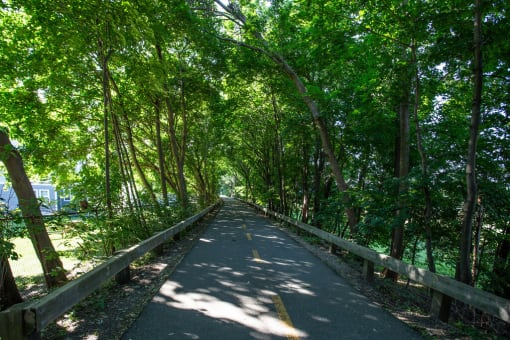 Bike Path