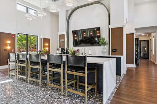 Entertainment Lounge With TV at The Liliana Apartment Homes, Pooler Georgia
